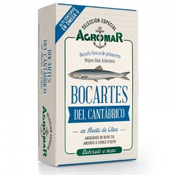 Bocartes del Cantábrico...