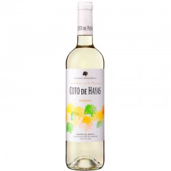 Coto de Hayas chardonnay