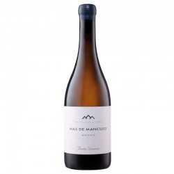 Mas de Mancuso Macabeo