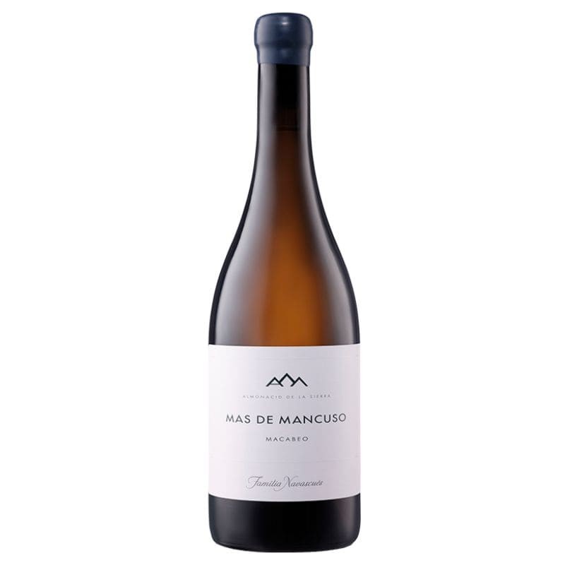 Mas de Mancuso Macabeo