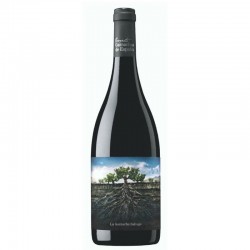 Garnacha Salvaje del Moncayo