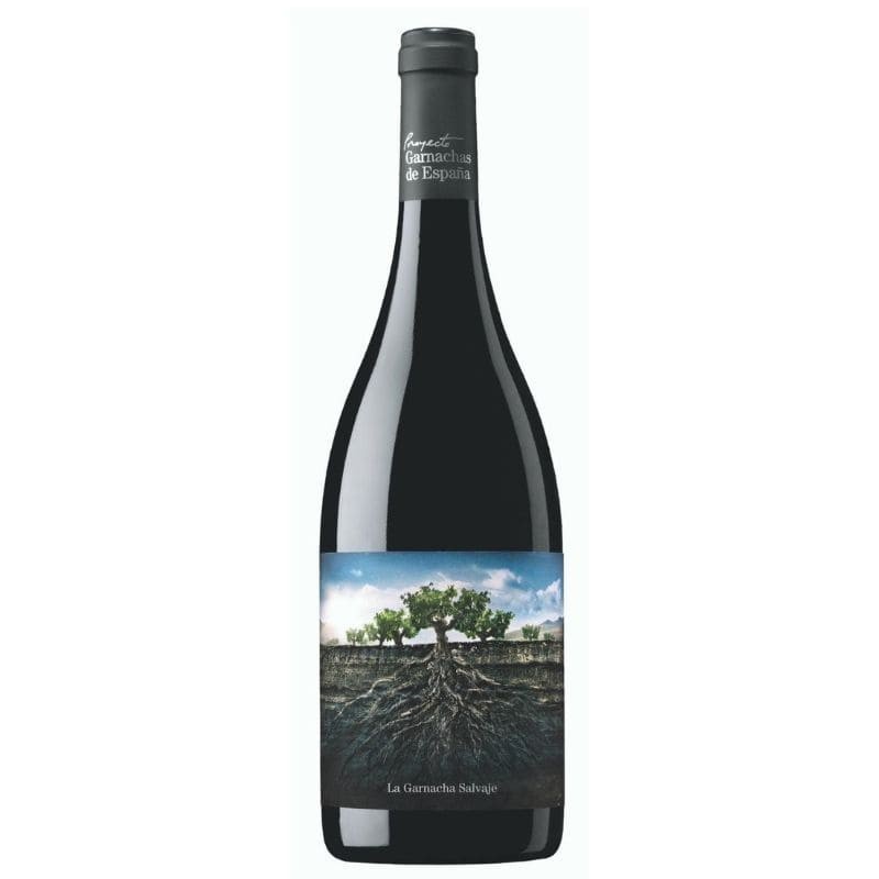 Garnacha Salvaje del Moncayo
